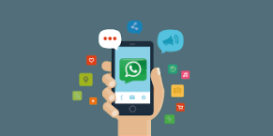 vendas pelo whatsapp